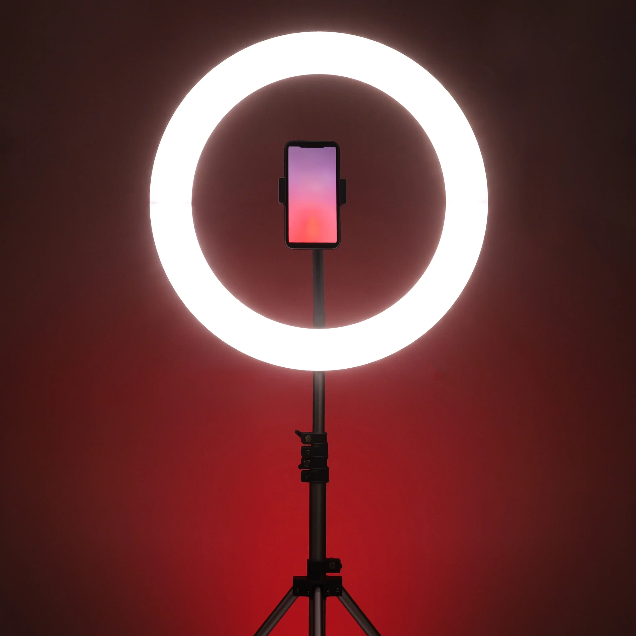 Galileo Pro Kit - Ring Light - Image 4