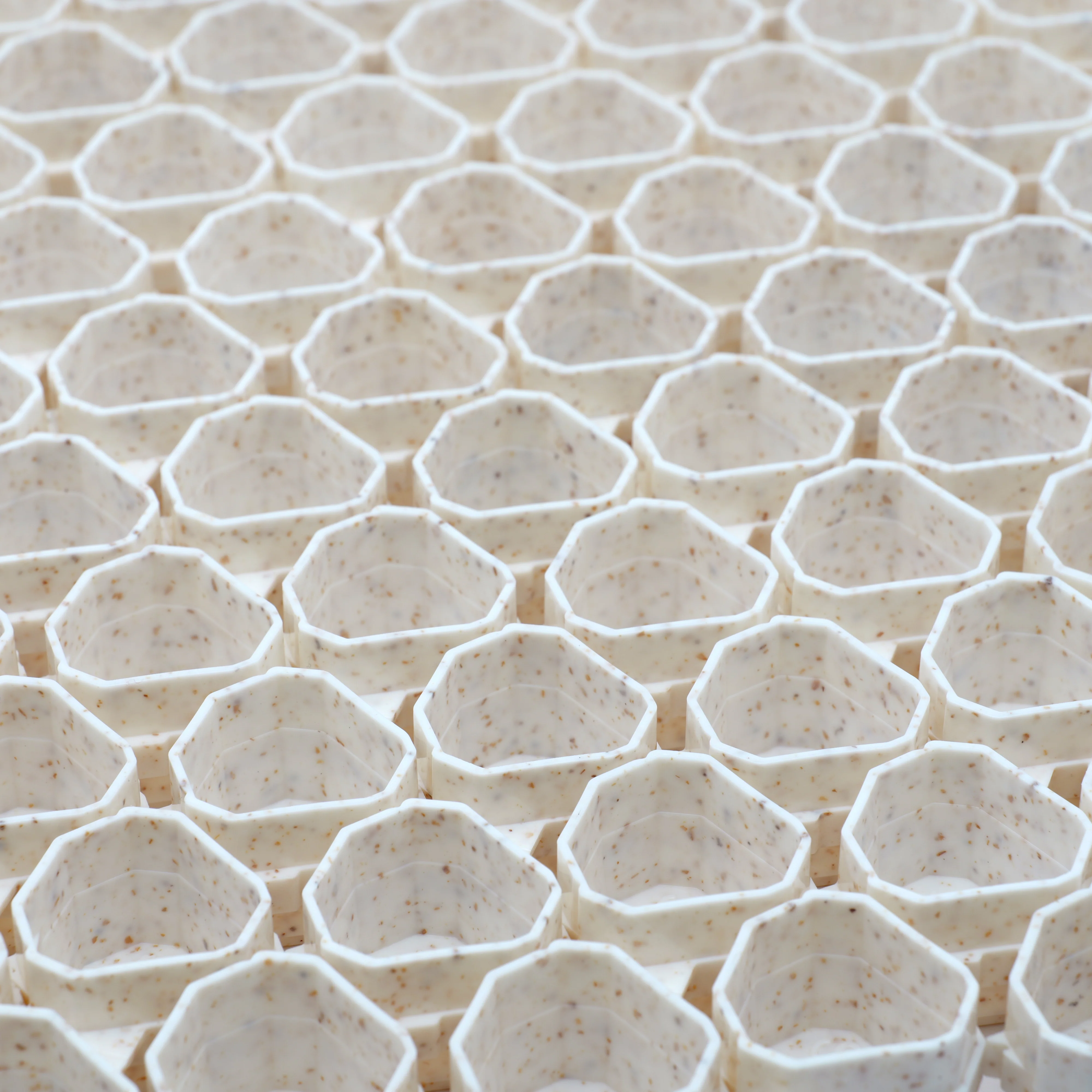 Hive Caps ECO Caps - Image 13