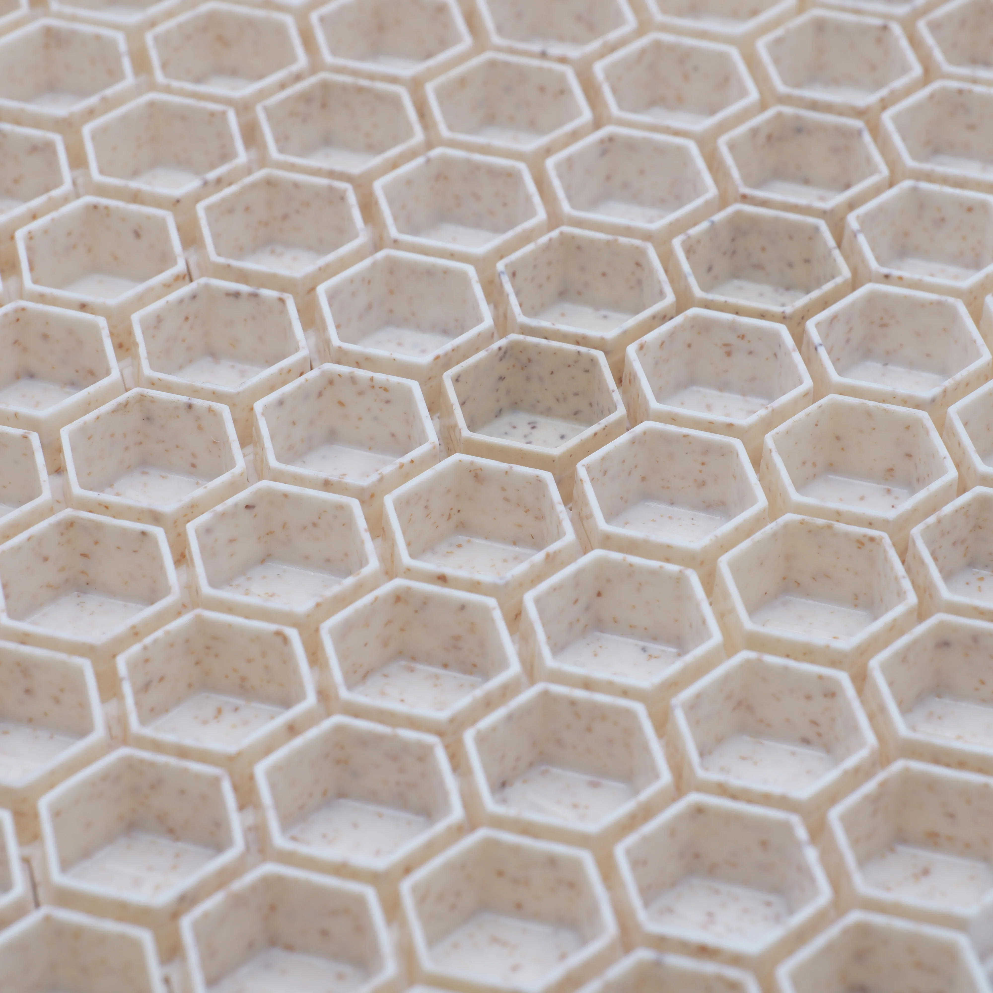 Hive Caps ECO Caps - Image 3